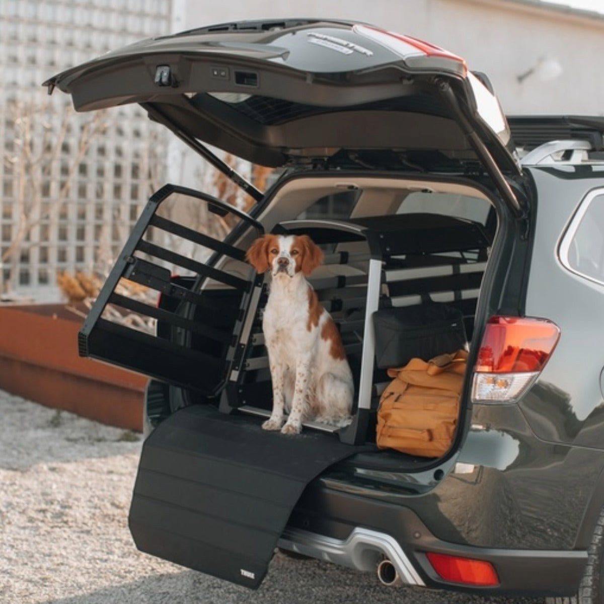 Cusca auto pentru caini Thule Allax M Compact